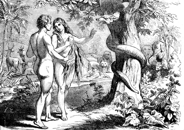Genesis, chapter 3, Adam and Eve naked in paradise, snake in the tree, animal world, river, nature, Eve eats forbidden apple, Old Testament, Bible, historical illustration 1877