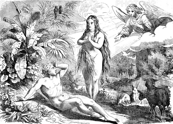First book of Genesis, chapter 3, Adam and Eve naked in paradise, angels in heaven, animal world, river, nature, Old Testament, Bible, historical illustration 1877
