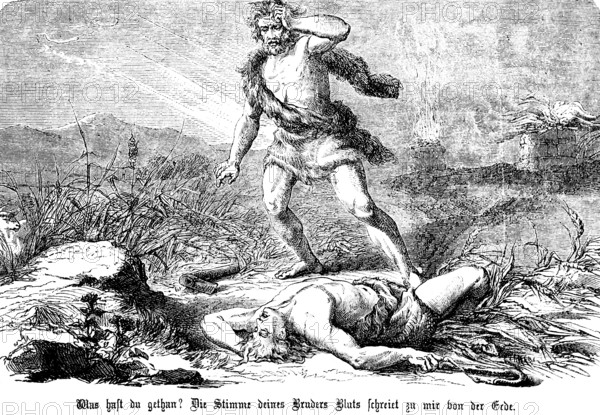First Book of Genesis, Chapter 4, Genesis, Cain the husbandman strikes his brother Abel the shepherd to death, horror, murder, Old Testament, Bible, historical illustration 1877