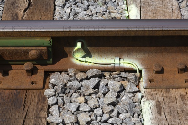 Close-up of ballast and bright green fluorescent spray painted metal ground wire attached to rusted railway track, Quebec, Canada