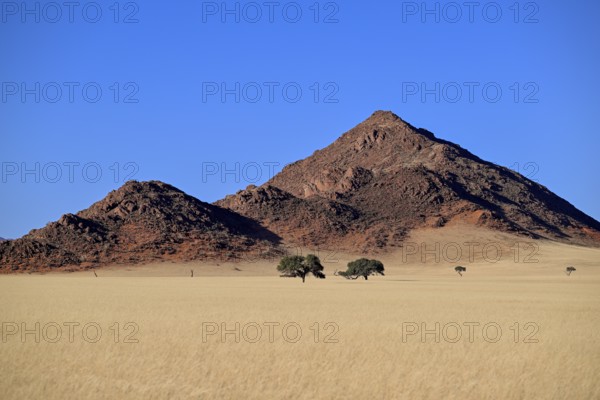 Landscape on the Kanaan farm of the nature conservation organisation Naankuse, Tirasberge, Karas region, Namibia