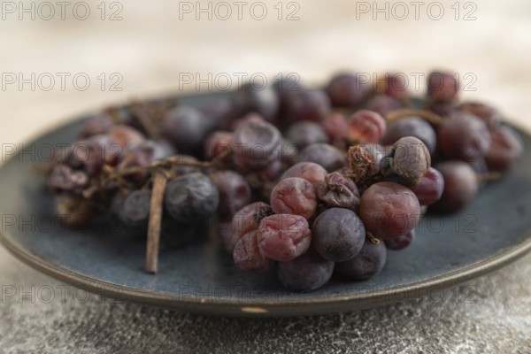Bunches of rotten and Dry Red wine grapes on blue plate on brown concrete background, harvest, decay. Side view, close up, selective focus