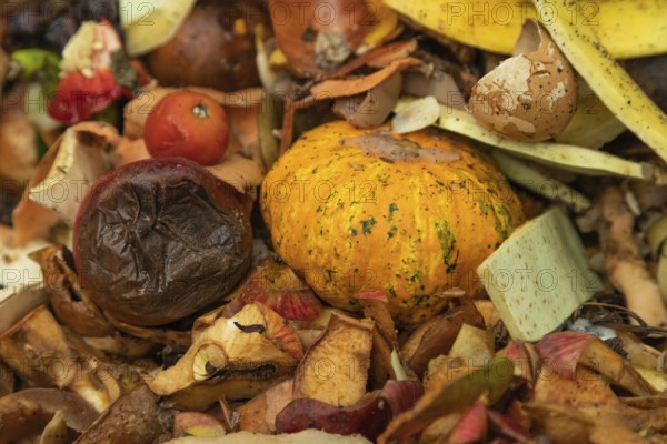 Compost pile made of organic food, leaves, vegetable and fruit Waste mix, Zero waste and Eco friendly Recycling concept