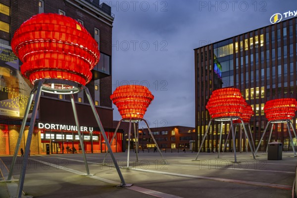 Illuminated sculptures of Dortmund roses in front of Dortmund's landmark U, Centre for Art and Creativity at dusk, Dortmund, North Rhine-Westphalia, Germany
