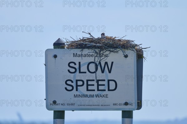 A sign with an osprey nest under a clear sky, calm sea in the background, Merritt Island National Wildlife Refuge, Mims, Florida, USA