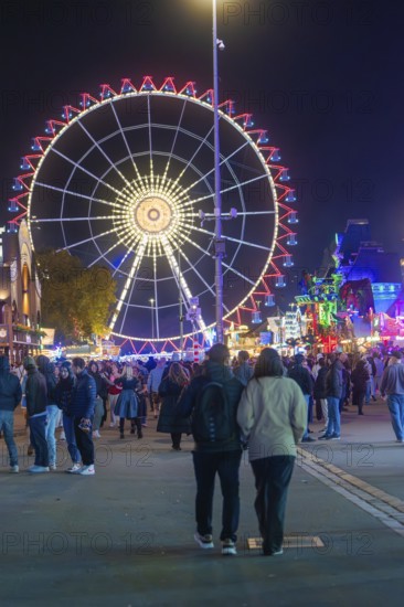 Night shot of a Ferris wheel at the funfair with many visitors, Cannstatter Wasen funfair, Stuttgart, Germany