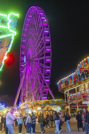 Ferris wheel shining through the night and colourful stalls attract visitors, Cannstatter Wasen folk festival, Stuttgart, Germany