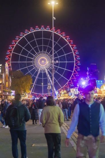 Large Ferris wheel at night, surrounded by a lively crowd, Cannstatter Wasen folk festival, Stuttgart, Germany