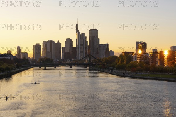 The trees on the banks of the River Main glow with autumnal colour in the light of the evening sun, Frankfurt am Main, Hesse, Germany
