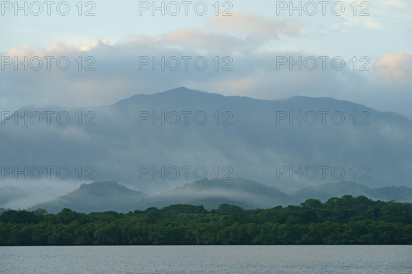 Atlantic Rainforest Coast, Brazil