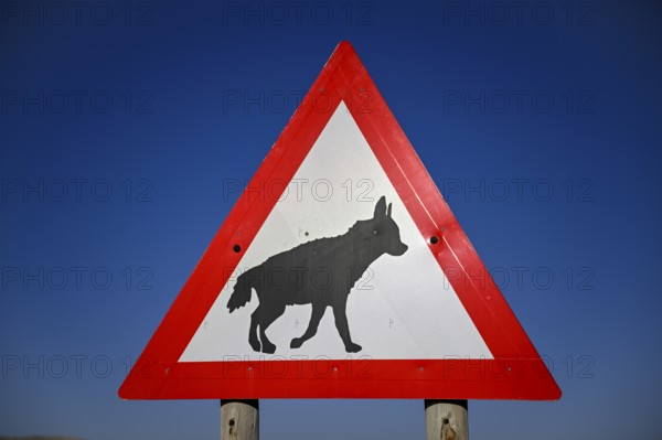 Sign warning of brown hyenas or beach wolves (Parahyaena brunnea) near Lüderitz, Karas Region, Namibia