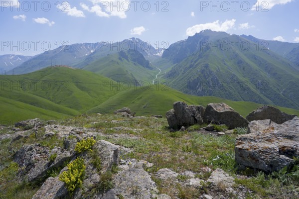 Green hills and mountains with flowers and rocks under a clear blue sky, at the highest pass in Armenia, Meghri Pass, Tashtun Pass, Syunik Province, Syunik, Armenia