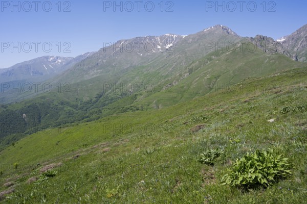 Wide green hills in front of a blue sky and rocky mountains, at the highest pass of Armenia, Meghri Pass, Tashtun Pass, Syunik province, Syunik, Armenia
