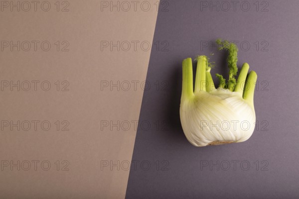 Fresh Fennel bulb on brown and gray pastel paper background, top view, flat lay, copy space, minimalism