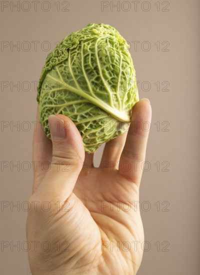 Green lettuce with hand on beige pastel paper background. Side view, copy space, flat lay. healthy food, vegetable, minimalism. hold