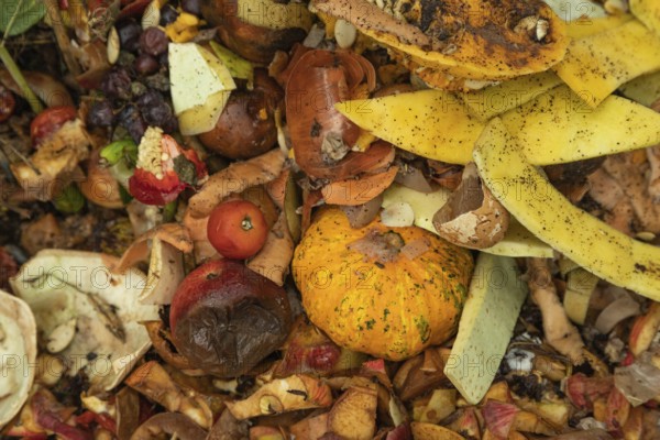 Compost pile made of organic food, leaves, vegetable and fruit Waste mix, Zero waste and Eco friendly Recycling concept