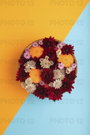 Wooden bowl with carrot slices and red Chrysanthemum flowers, Astrantia flowers, flower salad on blue and orange pastel paper background, top view, flat lay, copy space, minimalism