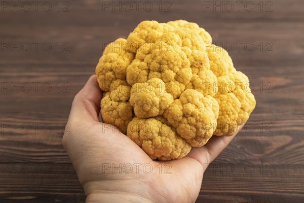 Yellow Cauliflower with hand on brown wooden background. Side view, close up. healthy food, vegetable, minimalism