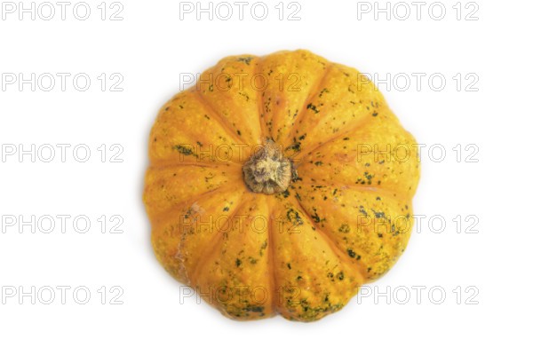 Orange Pumpkin isolated on white background. Top view, flat lay. healthy food, vegetable, minimalism