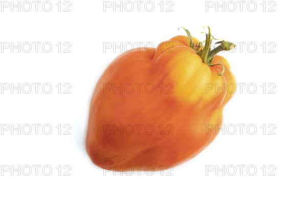 Red Heart Shape tomato isolated on white background. Top view, copy space, flat lay. healthy food, vegetable, minimalism