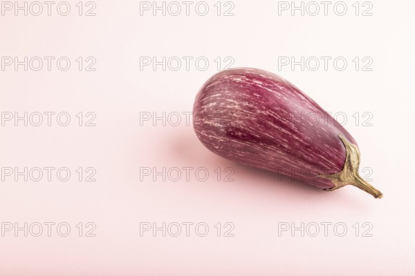 Purple eggplant with white stripes on pink pastel background. Side view, copy space. Tropical, healthy food, vegetable, minimalism