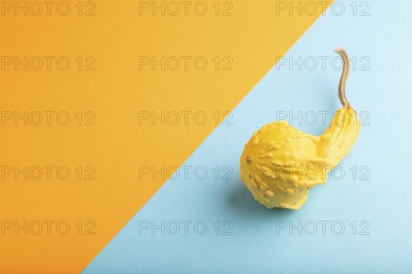 Decorative orange Pumpkin on blue and orange pastel paper background, side view, copy space, minimalism