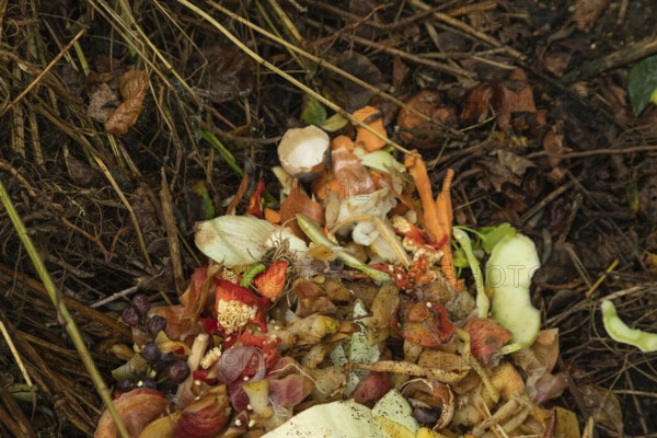Compost pile made of organic food, leaves, vegetable and fruit Waste mix, Zero waste and Eco friendly Recycling concept