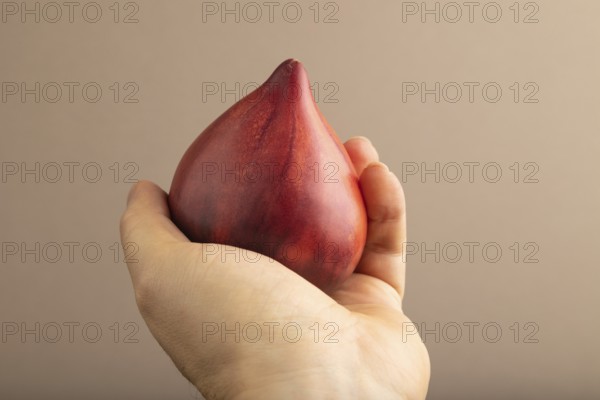 Red Heart shape tomatoes with hand on beige pastel paper background. Side view, copy space. healthy food, vegetable, minimalism. hold