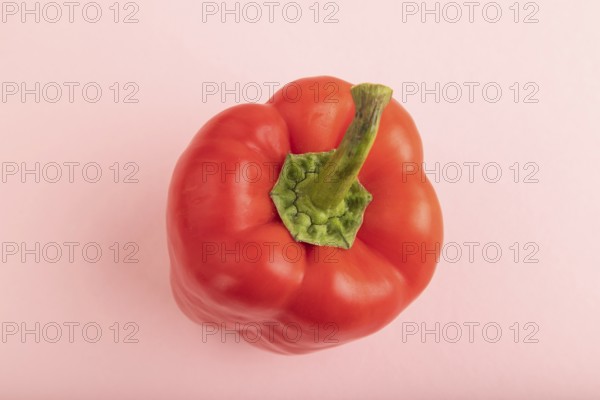 Red pepper on pink pastel background. Top view, flat lay, copy space. healthy food, vegetable, minimalism