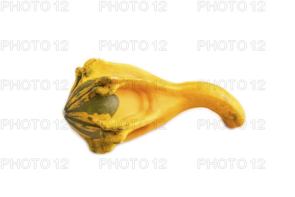 Decorative orange Pumpkin isolated on white background, side view, close up, minimalism