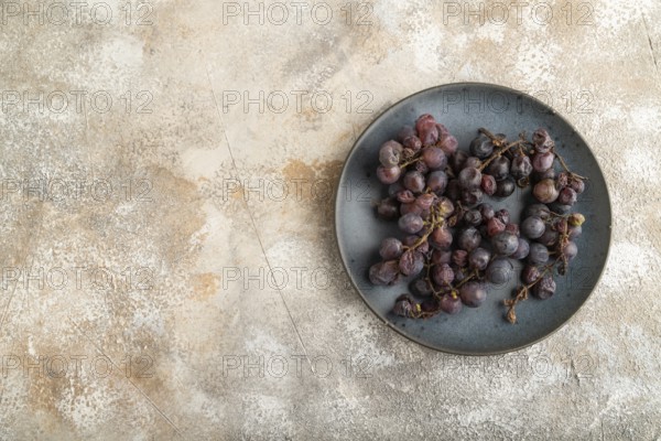 Bunches of rotten and Dry Red wine grapes on blue plate on brown concrete background, harvest, decay. Top view, flat lay, copy space