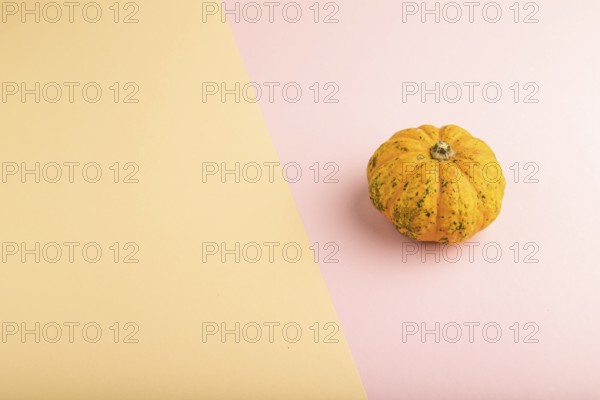 Orange Pumpkin on orange and pink pastel paper background. Side view, copy space. healthy food, vegetable, minimalism