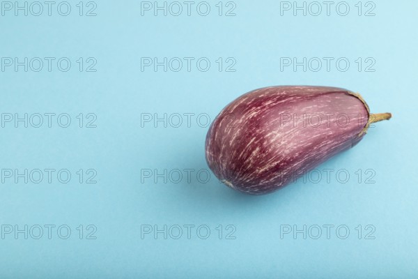 Purple eggplant with white stripes on blue pastel background. Side view, copy space. Tropical, healthy food, vegetable, minimalism