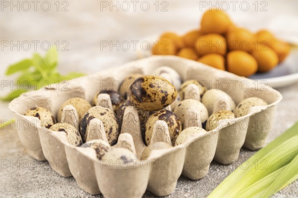 Pile of Smoked Quail eggs on plate on a brown concrete background. side view, close up, selective focus
