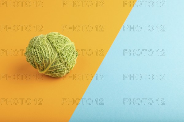 Green lettuce on blue and orange pastel paper background. Side view, copy space. healthy food, vegetable, minimalism