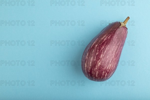 Purple eggplant with white stripes on blue pastel background. Top view, flat lay, copy space. Tropical, healthy food, vegetable, minimalism