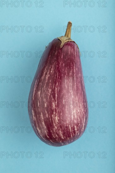 Purple eggplant with white stripes on blue pastel background. Top view, flat lay, copy space. Tropical, healthy food, vegetable, minimalism