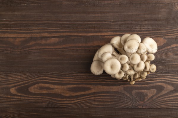 Raw Oyster mushroom, Pleurotus ostreatus on brown wooden background. Top view, flat lay, copy space, minimalism