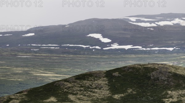 Vast mountain landscape with patches of snow and a cloudy atmosphere, pilgrimage route Olavsweg or Olavsleden, old Kongevegen or King's Path over Dovrefjell, Norway