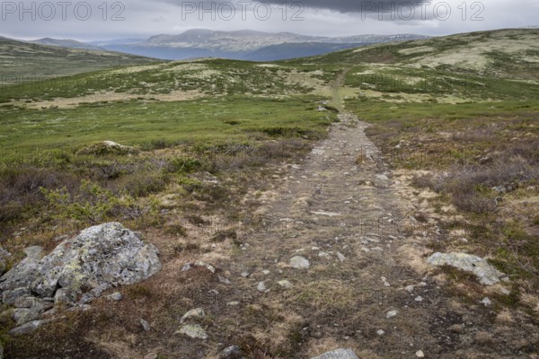 Olav's Way or Olavsleden pilgrimage route, old Kongevegen or King's Road over Dovrefjell, Norway