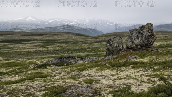 Barren plain landscape with striking rock formation under a cloudy sky, pilgrimage route Olavsweg or Olavsleden, old Kongevegen or King's Path over Dovrefjell, Norway
