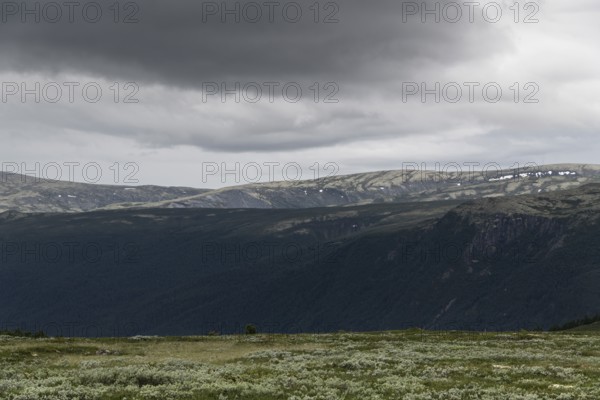 Fjell landscape, pilgrimage route Olavsweg or Olavsleden, old Kongevegen or King's Road across Dovrefjell, Norway