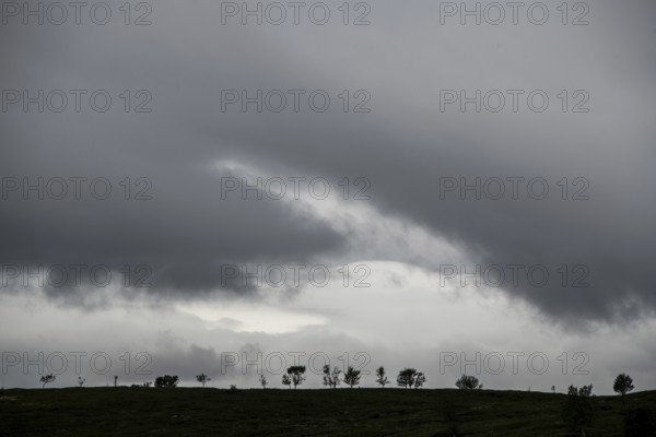 Silhouettes of trees on the horizon, dark clouds, old Kongevegen or King's Road over Dovrefjell, Norway