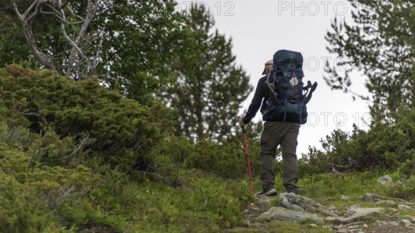 Pilgrims with heavy rucksacks, pilgrimage route Olavsweg or Olavsleden, old Kongevegen or King's Path over Dovrefjell, Norway