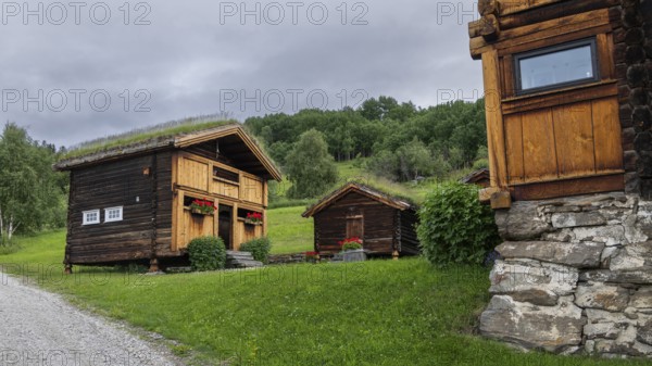 Grass-roofed houses in a rural setting, Gudbrandsdalen or Gudbrandsdalen Valley, Norway