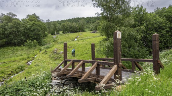 Wooden bridge Leina Bru, Kongevegen or King's Path over Dovrefjell, Hikers in the distance, Pilgrims' path Olavsweg or Olavsleden, Gudbrandsdalen or Gudbrandsdalen, Norway