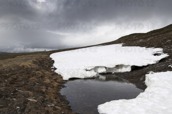 Hiker on a lonely plateau with residual snowfields, low clouds, Kongevegen or King's Road, Olavsleden pilgrimage route, Dovrefjell, Oppdal municipality, Trøndelag county, Norway