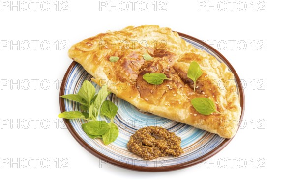 Fried homemade Khachapuri cake with cheese and meat, fried in pan. Traditional Georgian cuisine isolated on white background. Side view, close up