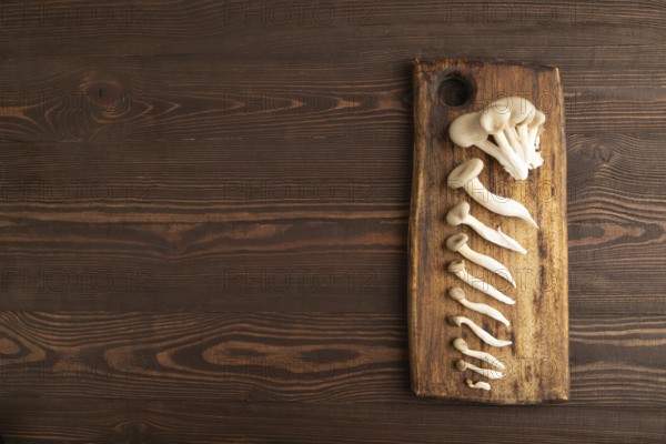 Raw Oyster mushroom, Pleurotus ostreatus on cutting board on brown wooden background. Top view, flat lay, copy space, minimalism