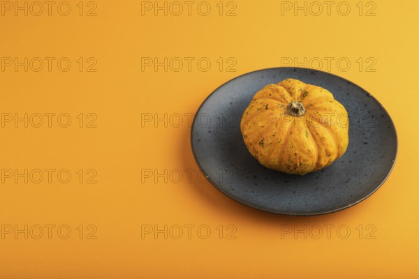 Orange Pumpkin on blue plate on orange pastel paper background. Side view, copy space, healthy food, vegetable, minimalism, contrast